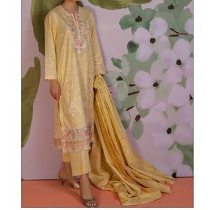 Pakistani Designer Dress